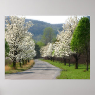 Spring time in the country poster