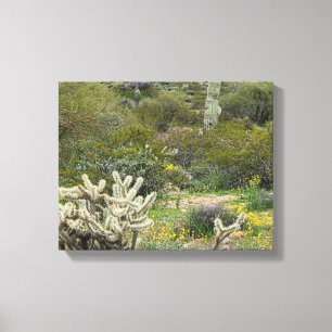 Spring Time in the Desert Photograph Canvas Print