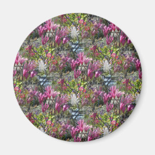 Spring Time.... Magnet