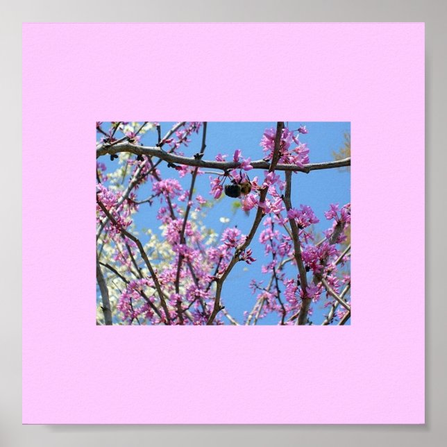 Spring Time... Poster (Front)