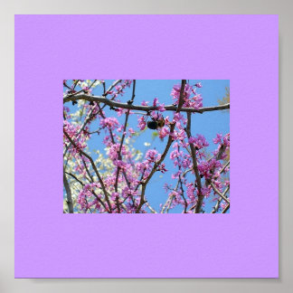 Spring Time Poster