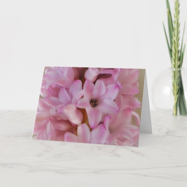 Spring Time Pretty Pink Hyacinth Note Card (Front)