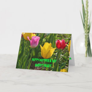Spring Time Tulip's Card