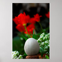Spring Time Zen