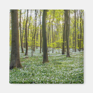 Spring to Life Magnet