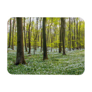 Spring to Life Magnet