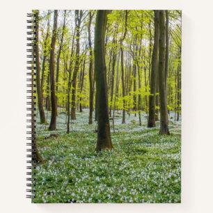 Spring to Life Notebook