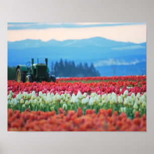 Spring Tractor Poster