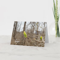 spring tree bud for Hope thinking of you