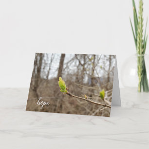 spring tree bud for Hope thinking of you Card