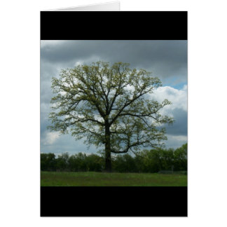 Spring Tree Card
