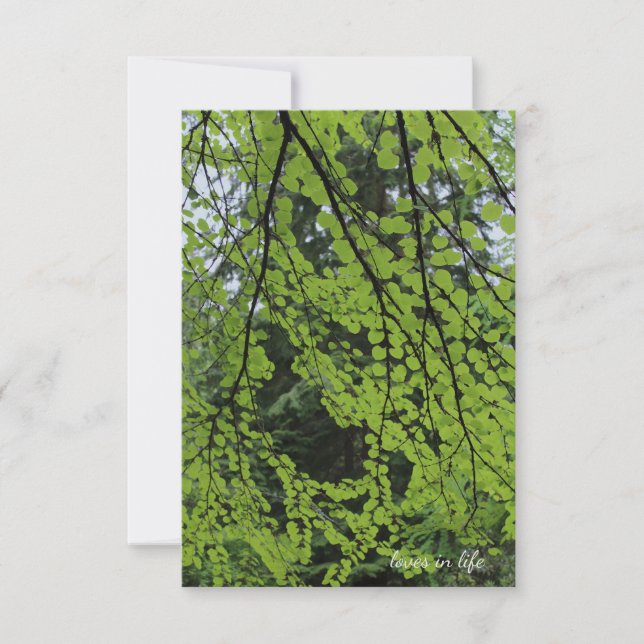 Spring Tree Foliage Card (Front)