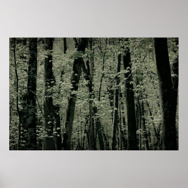 Spring Trees Poster (Front)