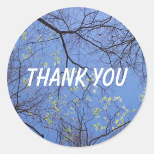 Spring Trees Thank You Classic Round Sticker