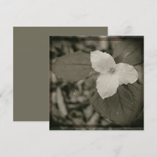 Spring Trillium Collodion Filter Card