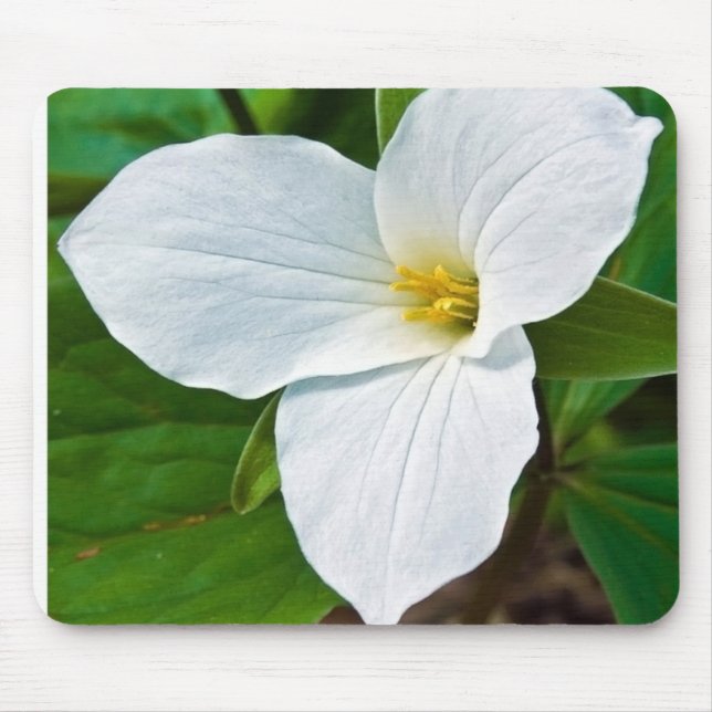 Spring Trillium Mouse Pad (Front)