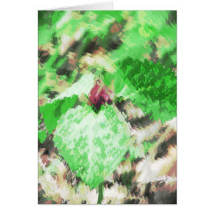 Spring Trillium WildflowerToutes les occasions sal