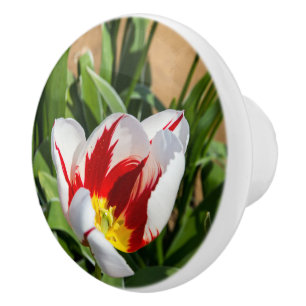 Spring Tulip Ceramic Pull