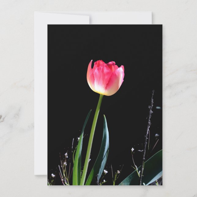 Spring tulip flat card (Front)