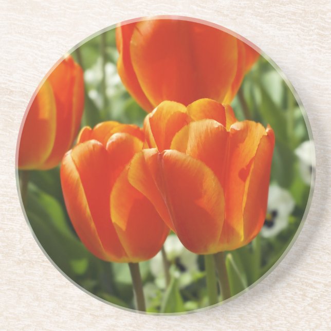 Spring Tulip Garden Coaster (Front)