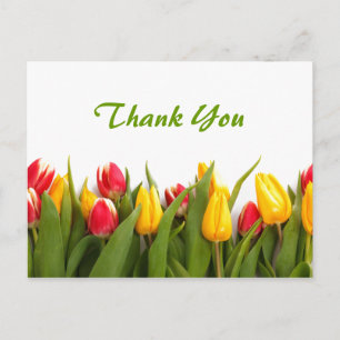Spring Tulip Garden Thank You Postcard