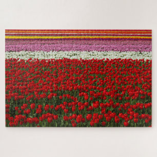 Spring Tulip Super Challenge Jigsaw Puzzle