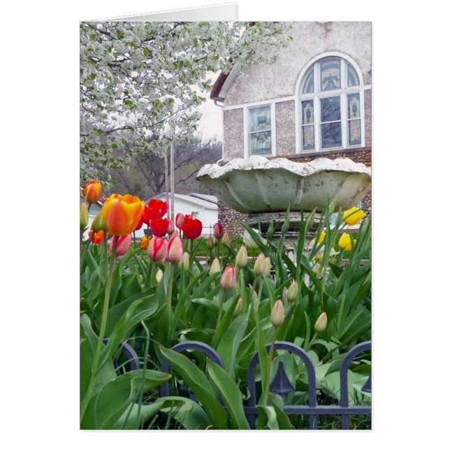 Spring Tulips (Front)