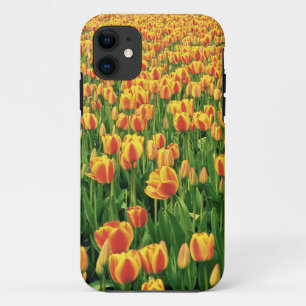 Spring tulips bloom in front of old barn. iPhone 11 case