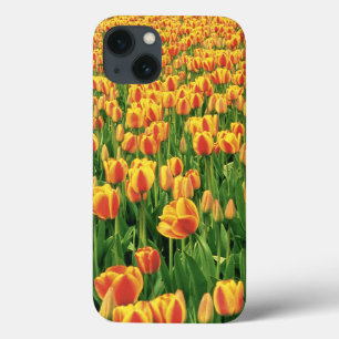 Spring tulips bloom in front of old barn. iPhone 13 case