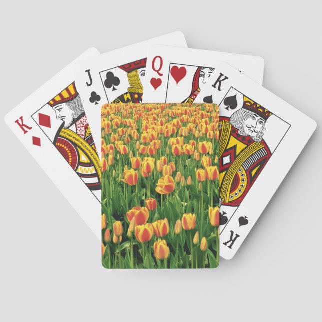 Spring tulips bloom in front of old barn. playing cards (Back)