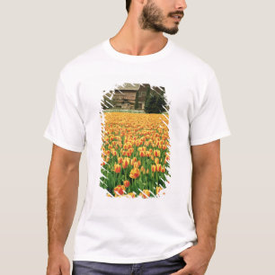 Spring tulips bloom in front of old barn. T-Shirt