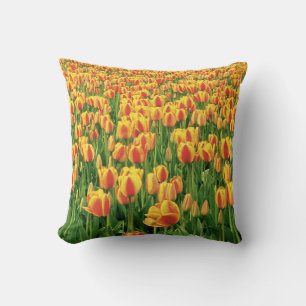 Spring tulips bloom in front of old barn. throw pillow