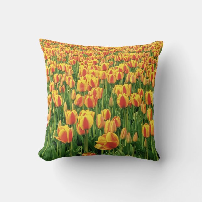 Spring tulips bloom in front of old barn. throw pillow (Front)