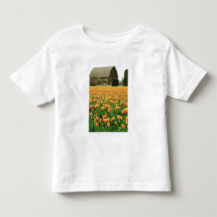 Spring tulips bloom in front of old barn. toddler t-shirt