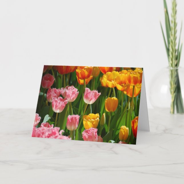 Spring Tulips Card (Front)