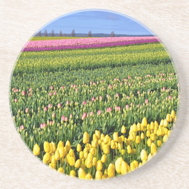 Spring tulips field coaster (Front)