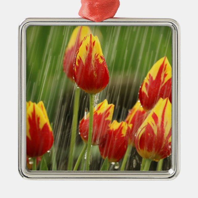 Spring Tulips Metal Ornament (Front)