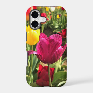 Spring Tulips, Oregon