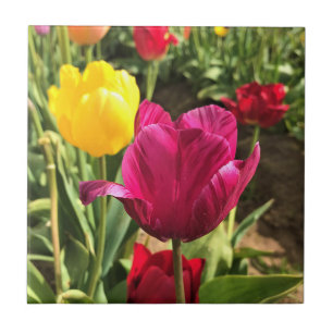 Spring Tulips, Oregon Tile