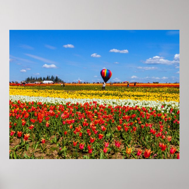 Spring Tulips Poster (Front)