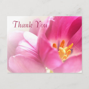 Spring Tulips Thank You Postcard