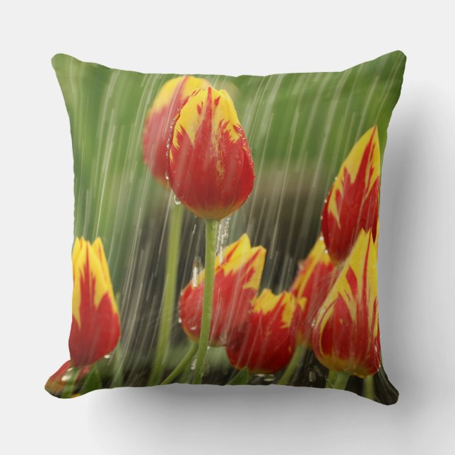 Spring Tulips Throw Pillow (Front)