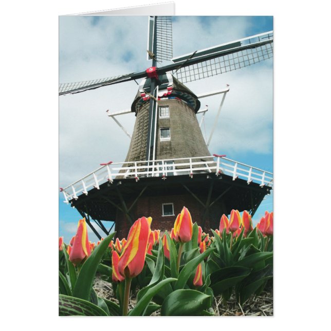 Spring Tulips Windmill (Front)