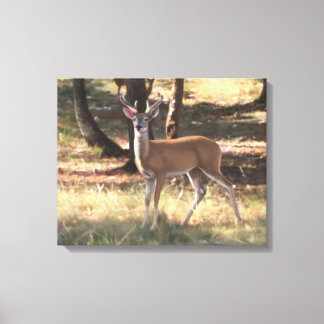 Spring Velvet canvas Print