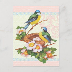 Spring Vintage Cute Bird Couple and Nest Postcard