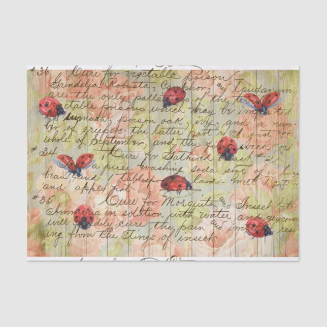 Spring Vintage Roses and LadyBug Decoupage  Tissue Paper (Front)
