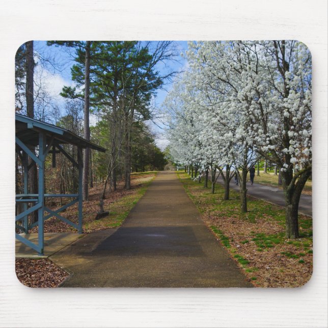 Spring Walk Mouse Pad (Front)