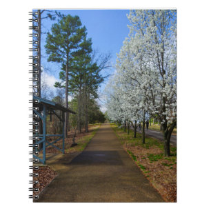 Spring Walk Notebook