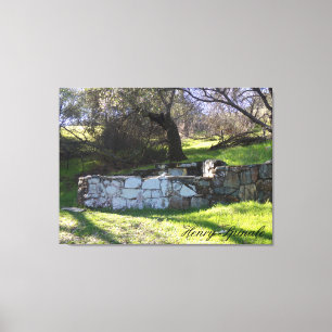 Spring water fountain on the way up to Table Mt. Canvas Print