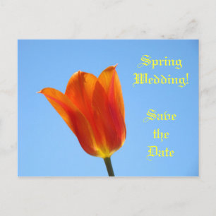 Spring Wedding Save the Date! Tulip Flower Card